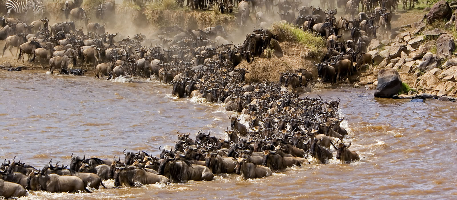 Serengeti migration